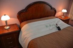 fotos-pedron-20-11-2014-173