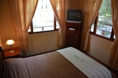 fotos-pedron-20-11-2014-219