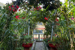 Imagen-de-WhatsApp-2023-08-07-a-las-09.03.20