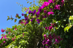 Imagen-de-WhatsApp-2023-08-07-a-las-09.03.211