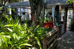 Imagen-de-WhatsApp-2023-08-07-a-las-09.03.222