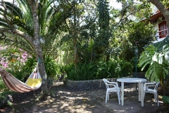 fotos-pedron-20-11-2014-128