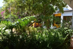 fotos-pedron-20-11-2014-231